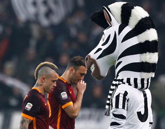 教练组可以 教练组可以